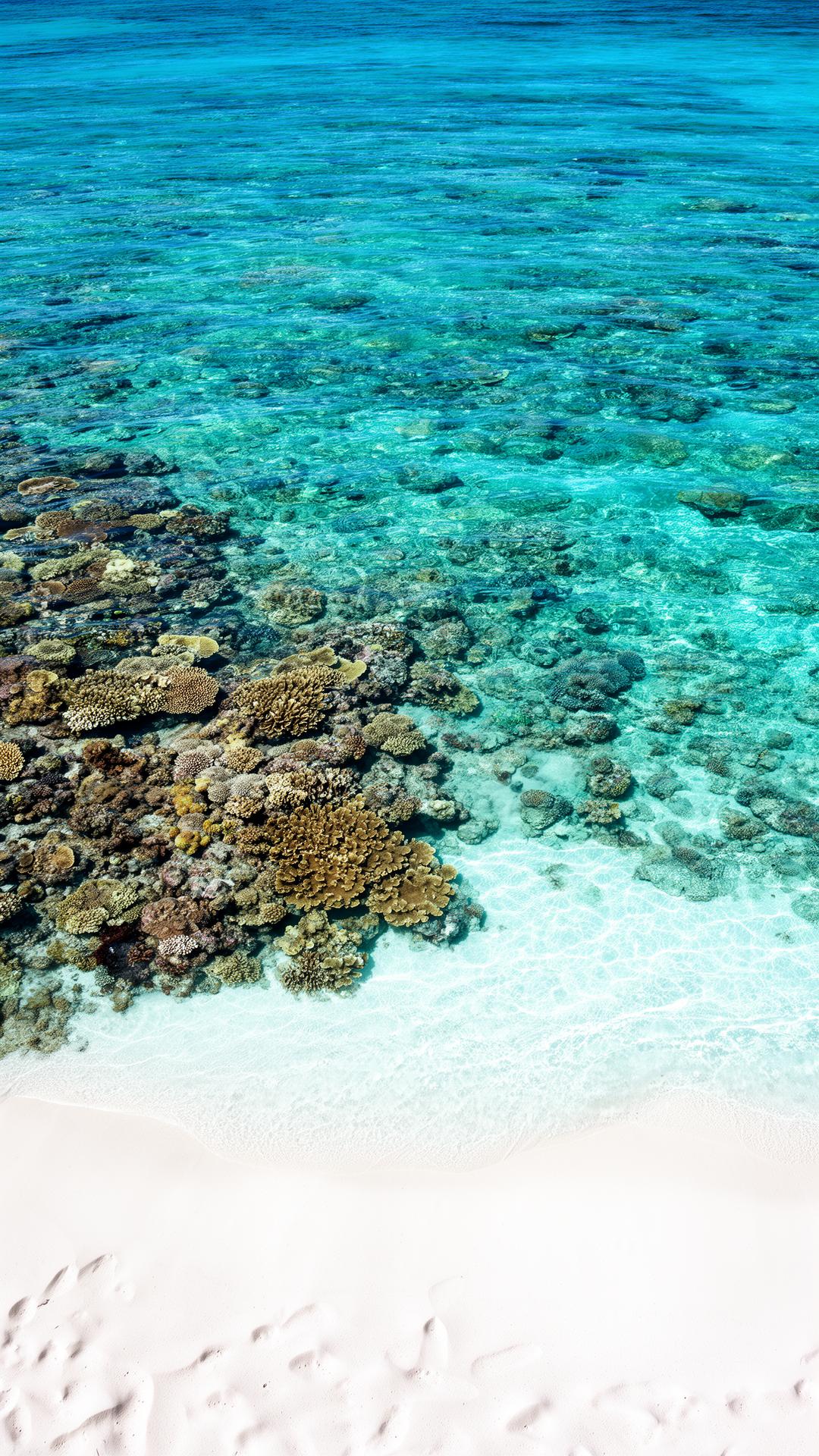Arrecife Cristal